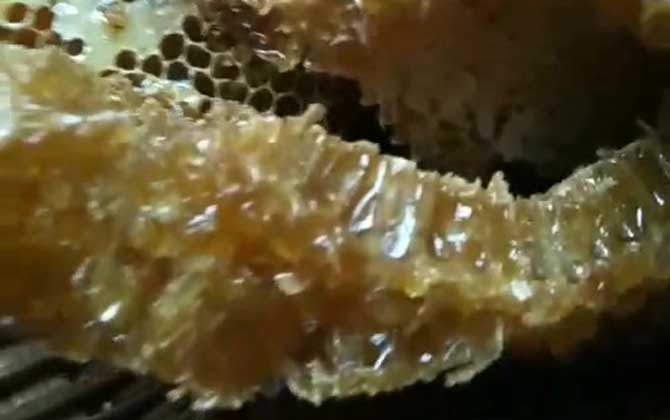 蜂巢蜜可以做假的吗？