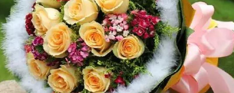 11朵黄玫瑰的花语，代表着只在乎你一个人