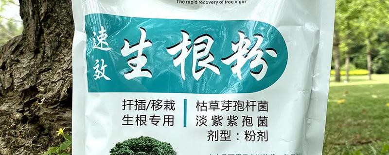 快速生根粉的使用方法，可采用浸泡法、涂抹法和速蘸法