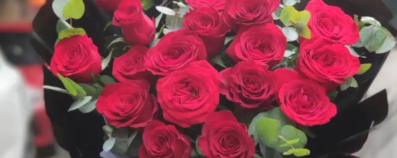 男朋友过生日可以送花吗，可以选择送玫瑰花、百合花、郁金香等