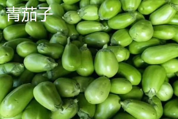 青茄子与紫茄子有什么区别，青茄子细长、紫茄子粗圆