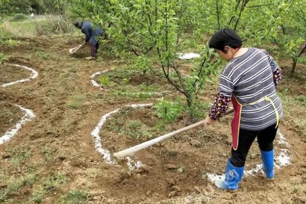 土壤中供植物生长的肥料是什么，是氮磷钾肥