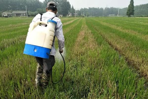 怎么除草不让草在长起来，可手动拔除或通过氨基酸肥料进行清除等