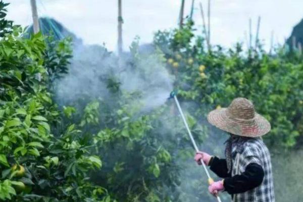 除草剂是百草枯吗，除草剂包含了百草枯