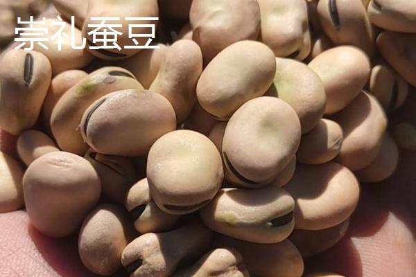 蚕豆和兰花豆有什么区别，兰花豆是用蚕豆加工出来的食品