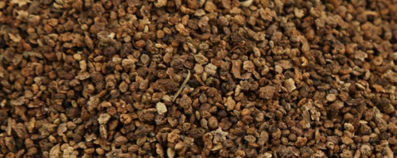 红地肤种子的种植方法，可选择在3月中旬至4月中旬之间进行播种