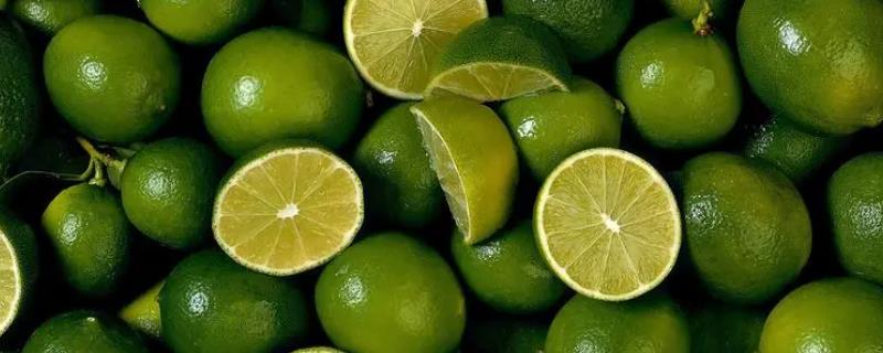 青柠檬和黄柠檬的区别，外形、用途和味道均不同