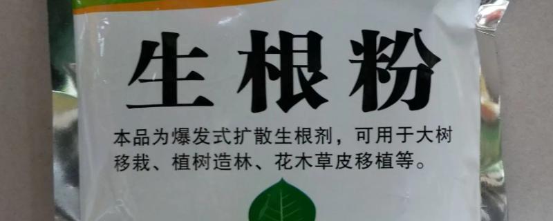 不能用生根粉的有哪些植物，常见的有长寿花、月季、天竺葵