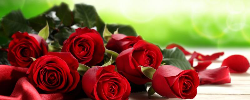 荔枝玫瑰的花语，寓意守护的爱、甜蜜、初恋等