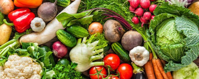 北方2月份适合种的蔬菜有哪些，生菜、油菜、香菜等品种均可种植