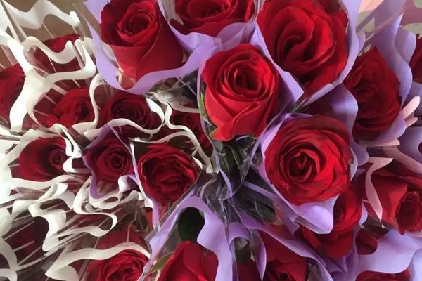 13朵玫瑰花的花语，寓意一生一世、陪伴守护等