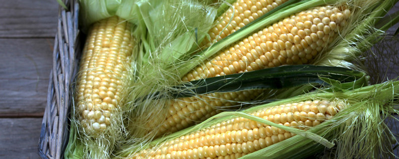 玉米种植技术与管理，什么时候种植