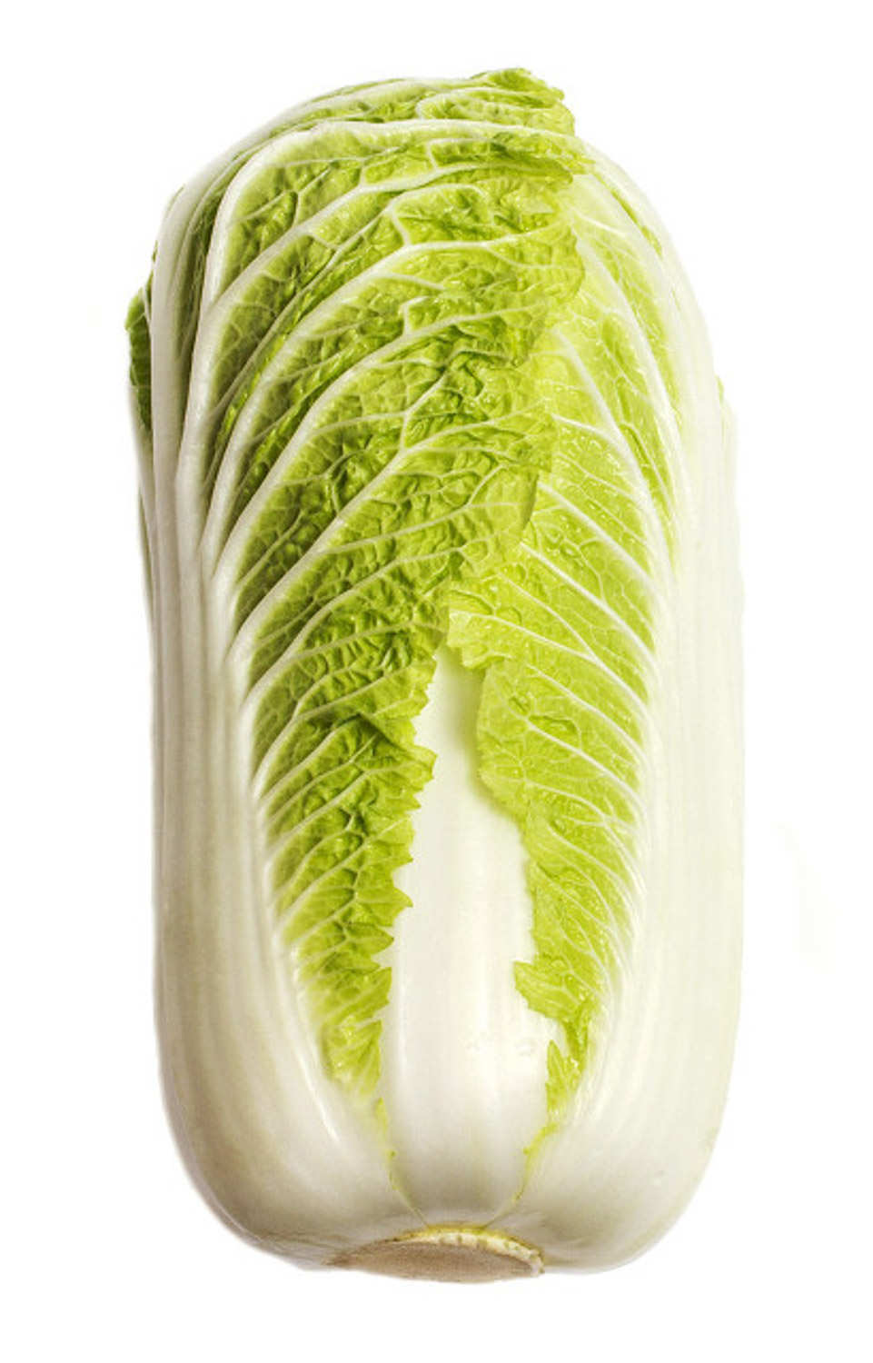 大白菜