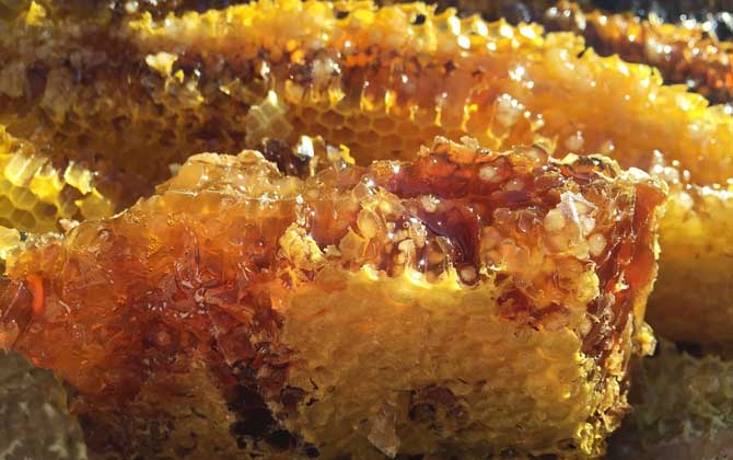 蜂蜜的真假怎么鉴别？