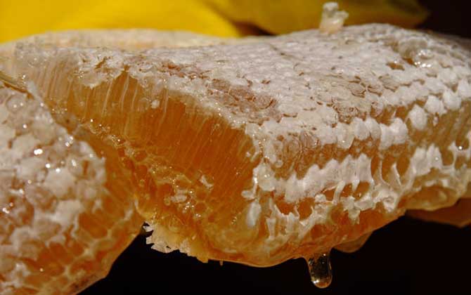 最新土蜂蜜价格多少钱一斤？