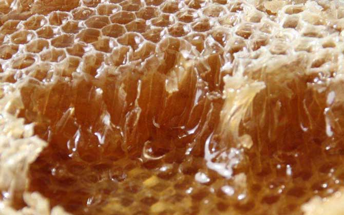 蜂巢蜜怎么保存时间长？
