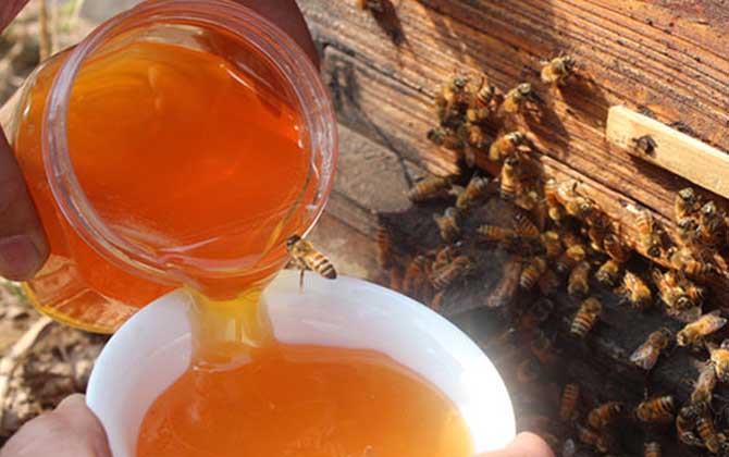 蜂蜜加盐的作用与功效及简单做法