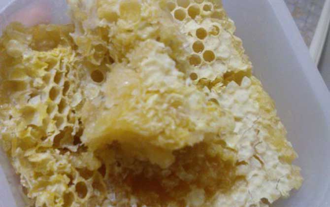 蜂巢蜜为什么嚼不烂？
