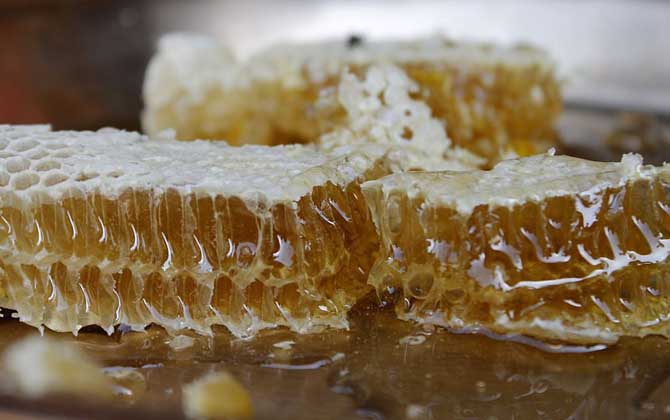 有机蜂蜜是怎么生产出来的？