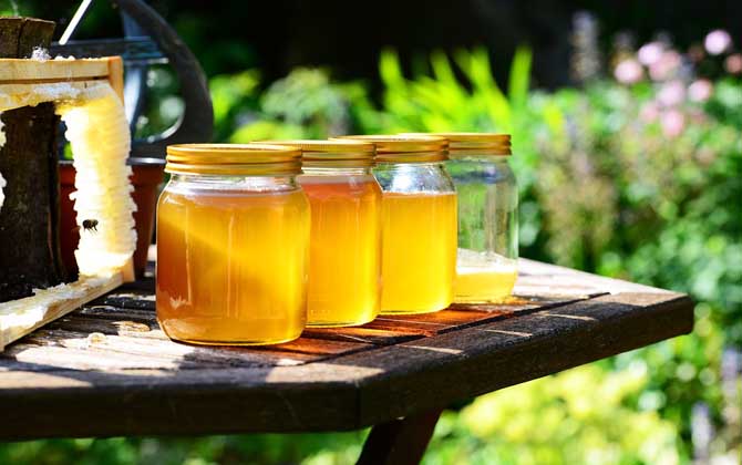 蜂蜜的保质期为什么长？抗菌成分是关键，渗透压高也是重要原因！