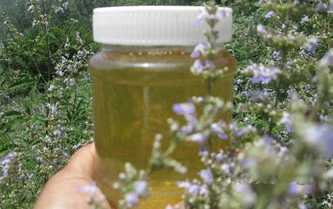 喝荆条蜜有哪些副作用？