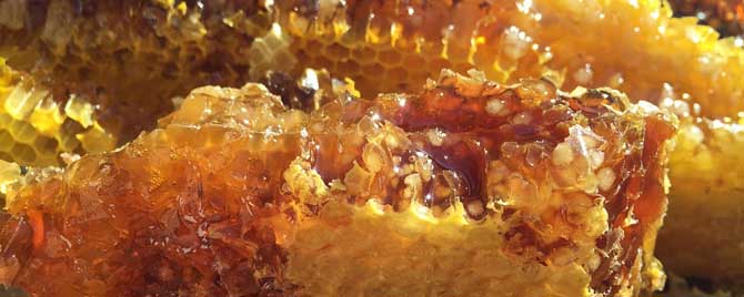 蜂巢泡酒有什么功效？