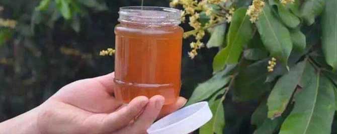 荔枝蜜是凉性还是热性？