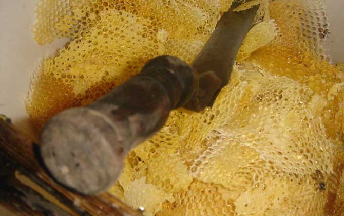 蜂巢蜜的蜂蜡能吃吗？答案是肯定的，事实上吃蜂蜡也有保健价值！