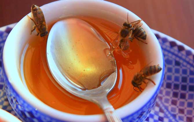 蜂蜜的禁忌人群及正确喝法