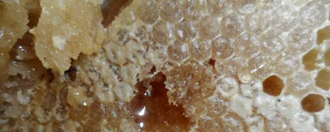 人工蜂巢蜜怎么做成的？