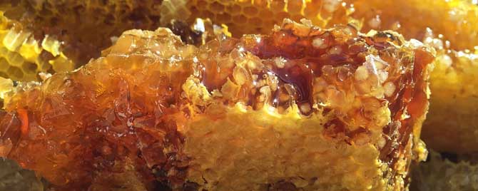 天然蜂巢蜜多少钱一斤？