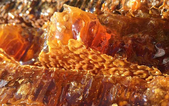 蜂巢蜜可以直接吃吗？