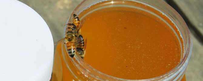 狼牙蜜是什么蜜？