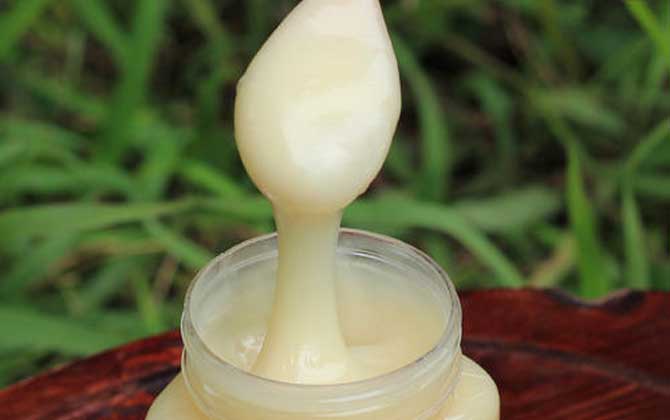 鸭脚木蜜的作用与功效及食用方法