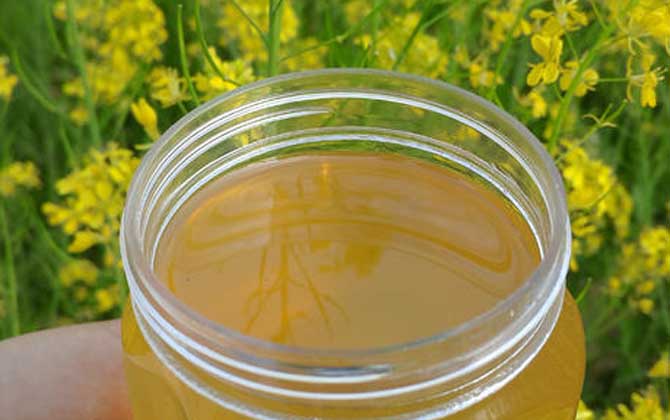 油菜花蜂蜜有什么功效与作用？这6个好处，只有经常喝的才知道！