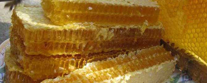 蜂巢蜜和蜂蜜有什么不同？