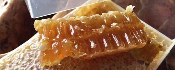 老蜂巢蜜可以造假吗？