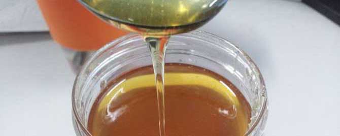 桉树蜂蜜是热性还是凉性？