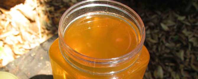 龙眼蜜和荔枝蜜哪个好喝？