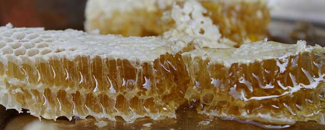 怎样区分白糖蜂蜜和纯蜂蜜？