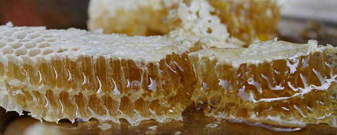 蜂蜜护肤的正确方法有哪些？