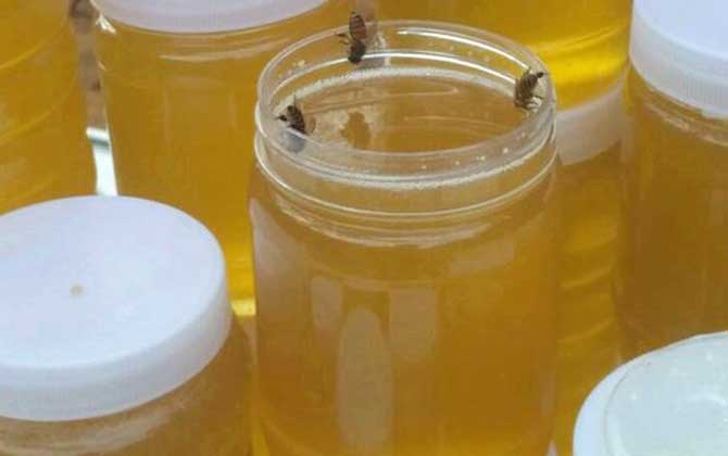 鸭脚木蜂蜜和普通蜂蜜有区别吗？
