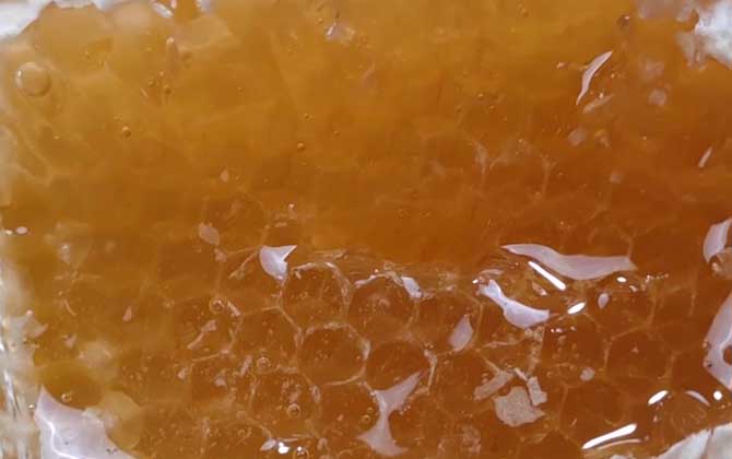 蜂巢蜜保质期是多长时间？