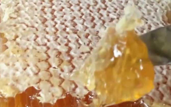 蜂巢蜜里嚼不烂的东西是什么？