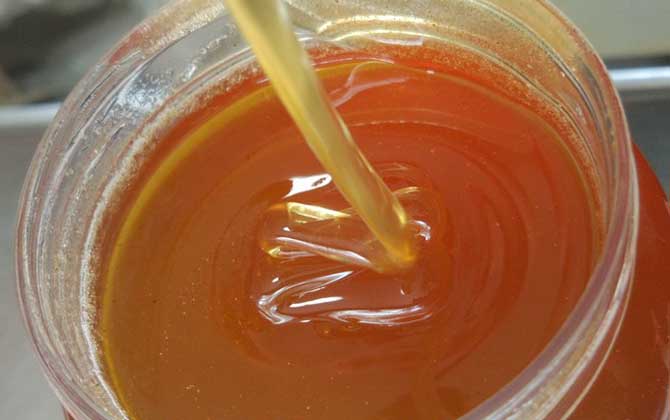 酸枣蜜是什么蜂蜜？
