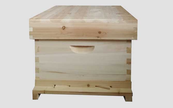 一个蜜蜂箱需要几个入口？